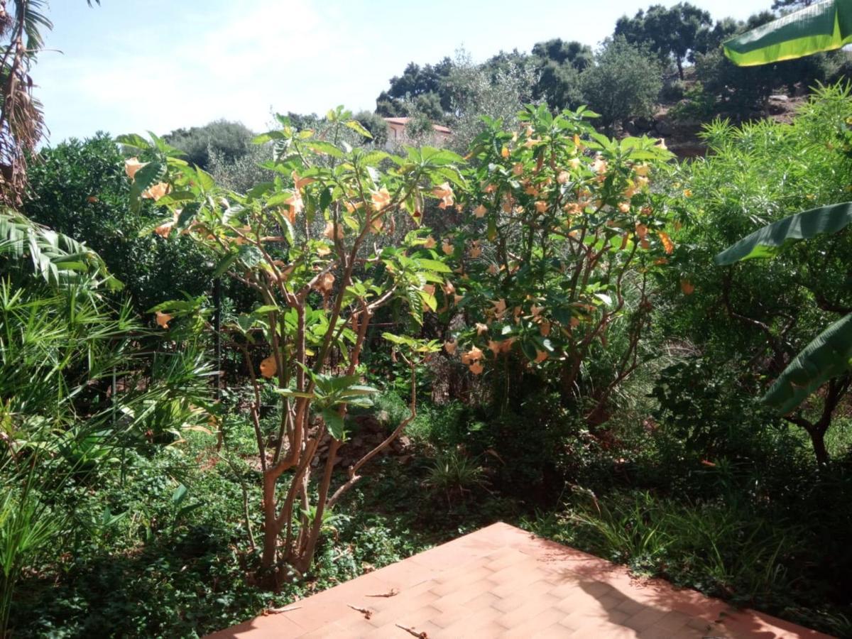 Stanza In Villa Con Giardino Vista Mare Cefalù Buitenkant foto