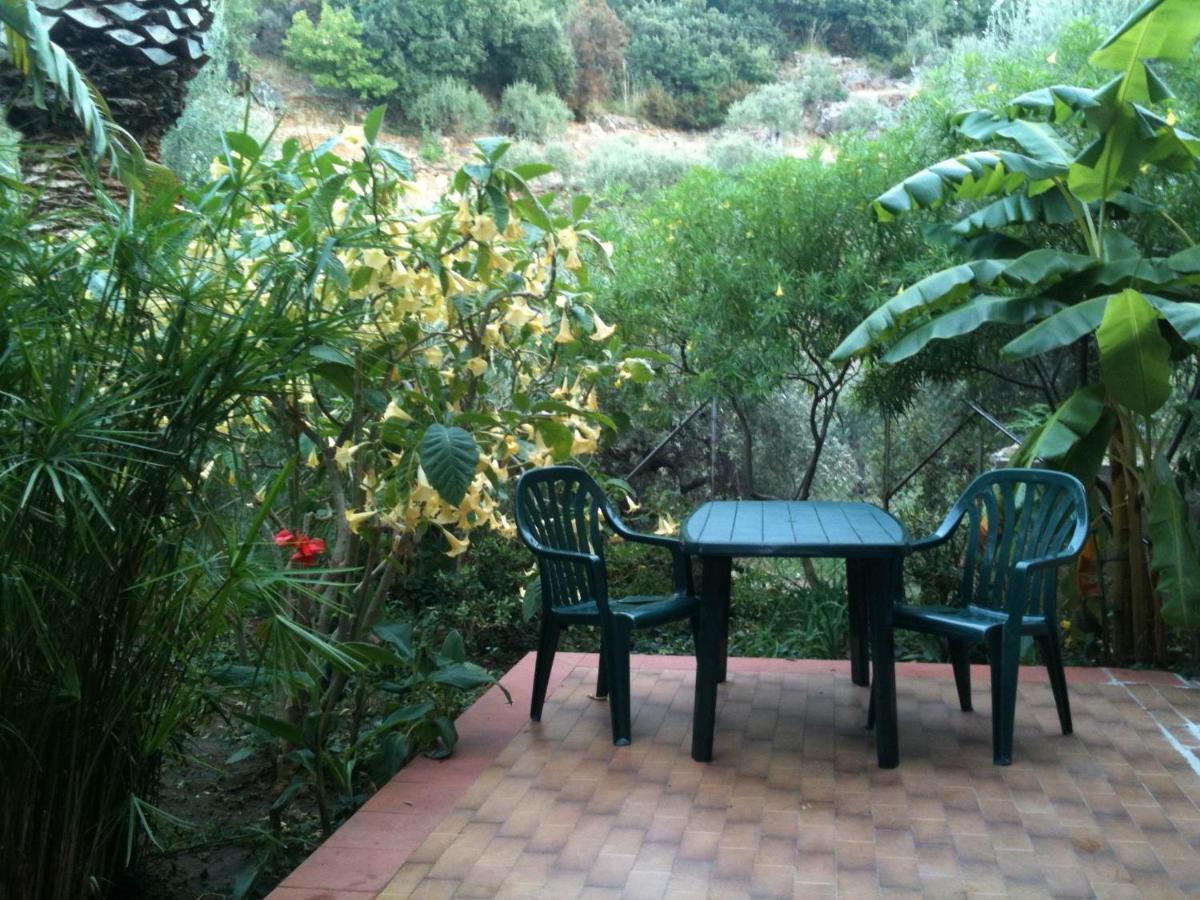 Stanza In Villa Con Giardino Vista Mare Cefalù Buitenkant foto