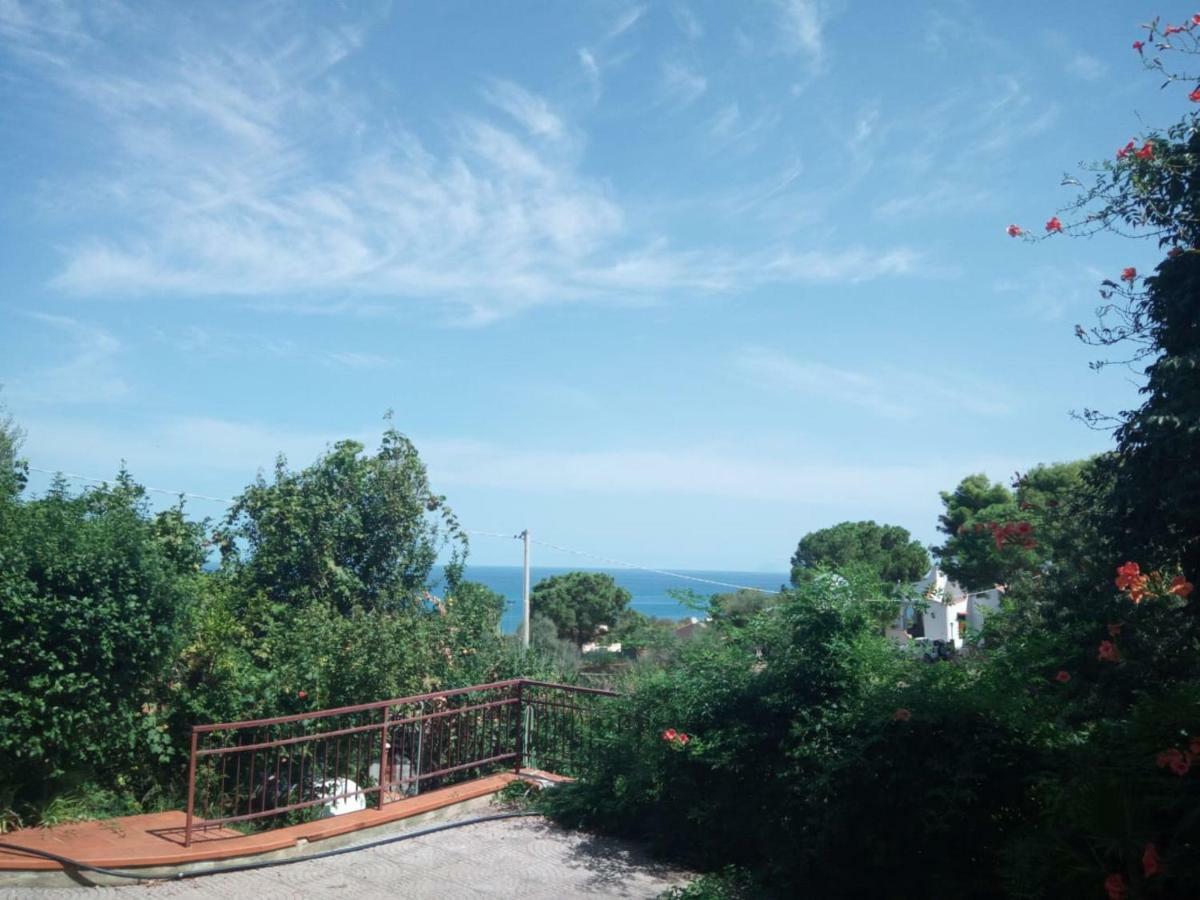 Stanza In Villa Con Giardino Vista Mare Cefalù Buitenkant foto