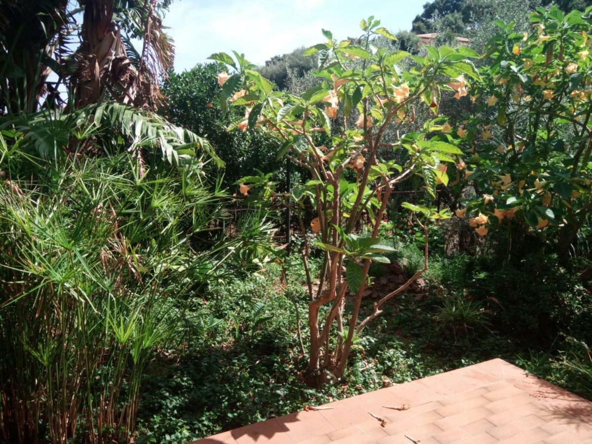 Stanza In Villa Con Giardino Vista Mare Cefalù Buitenkant foto