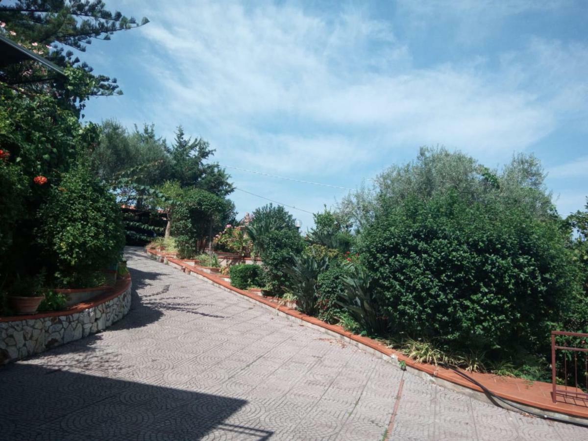 Stanza In Villa Con Giardino Vista Mare Cefalù Buitenkant foto